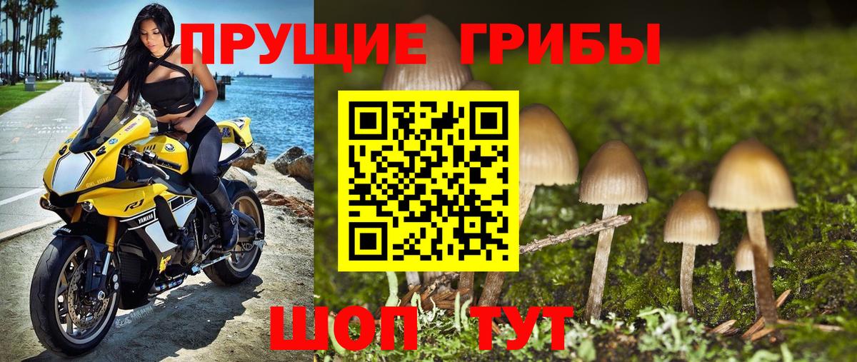 Балабаново  Галлюциногенные грибы Cubensis  Вход с VPN 